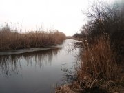 DSC08493.JPG