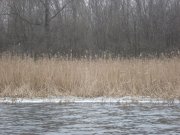DSC08013.JPG