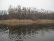 DSC08019.JPG