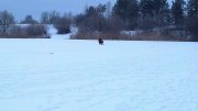 IMG_20130114_092543.jpg