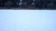 IMG_20130114_092637.jpg