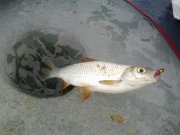 20022013523.jpg
