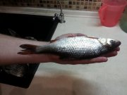 20130221_201856_1.jpg