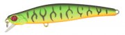 Preference Minnow.jpg