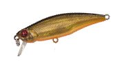 Preference Shad.jpg