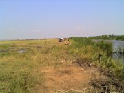 IMG_20110710_085909.jpg
