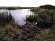 IMG_20110710_085946.jpg