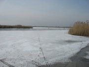 IMG_4499.JPG