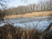 IMG_4543.JPG