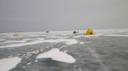 DSC_7903.jpg