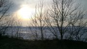 DSC_7914.jpg