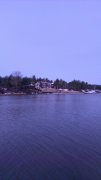 IMAG0271.jpg
