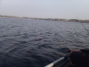 2013-02-23 09.46.29.jpg