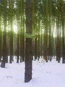 IMG_20130224_072638.jpg