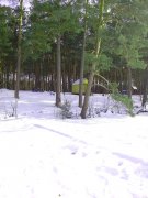 IMG_20130224_135619.jpg