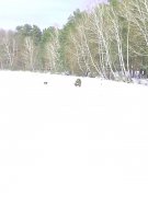 IMG_20130224_135627.jpg