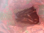 IMG_20130224_135718.jpg