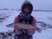 IMG_20130224_164249.jpg
