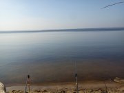 DSC00408.jpg