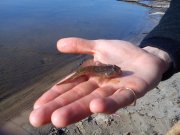 DSC00421.jpg