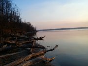 DSC00445.jpg