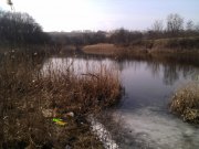 IMG_20130225_112001.jpg
