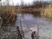 IMG_20130225_111855.jpg