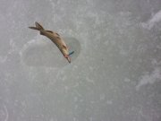 20130113_112424.jpg