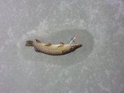 20130113_112441.jpg