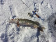 20130224_101955.jpg