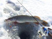 20130224_142406.jpg