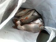 20130227_164602.jpg