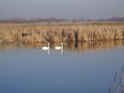 DSC00845.JPG
