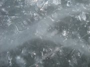 IMG_1402.JPG