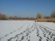 IMG_1416.JPG