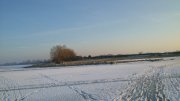DSC_7928.jpg