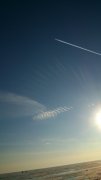 DSC_7936.jpg