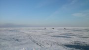 DSC_7937.jpg