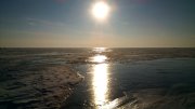 DSC_7938.jpg
