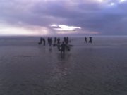 02-03-13_1644.jpg