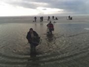 02-03-13_1648.jpg