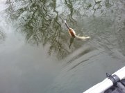 20130302_140549.jpg