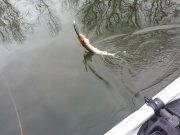 20130302_140559.jpg