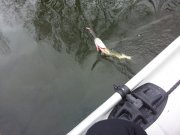 20130302_140610.jpg