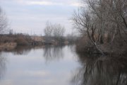 DSC_3671.jpg