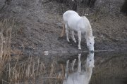 DSC_3683.jpg