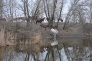 DSC_3684.jpg