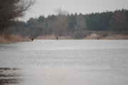 DSC_3691.jpg