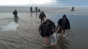 2013-03-02_16-51-24_634.jpg