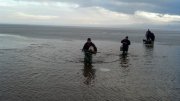 2013-03-02_16-52-31_170.jpg